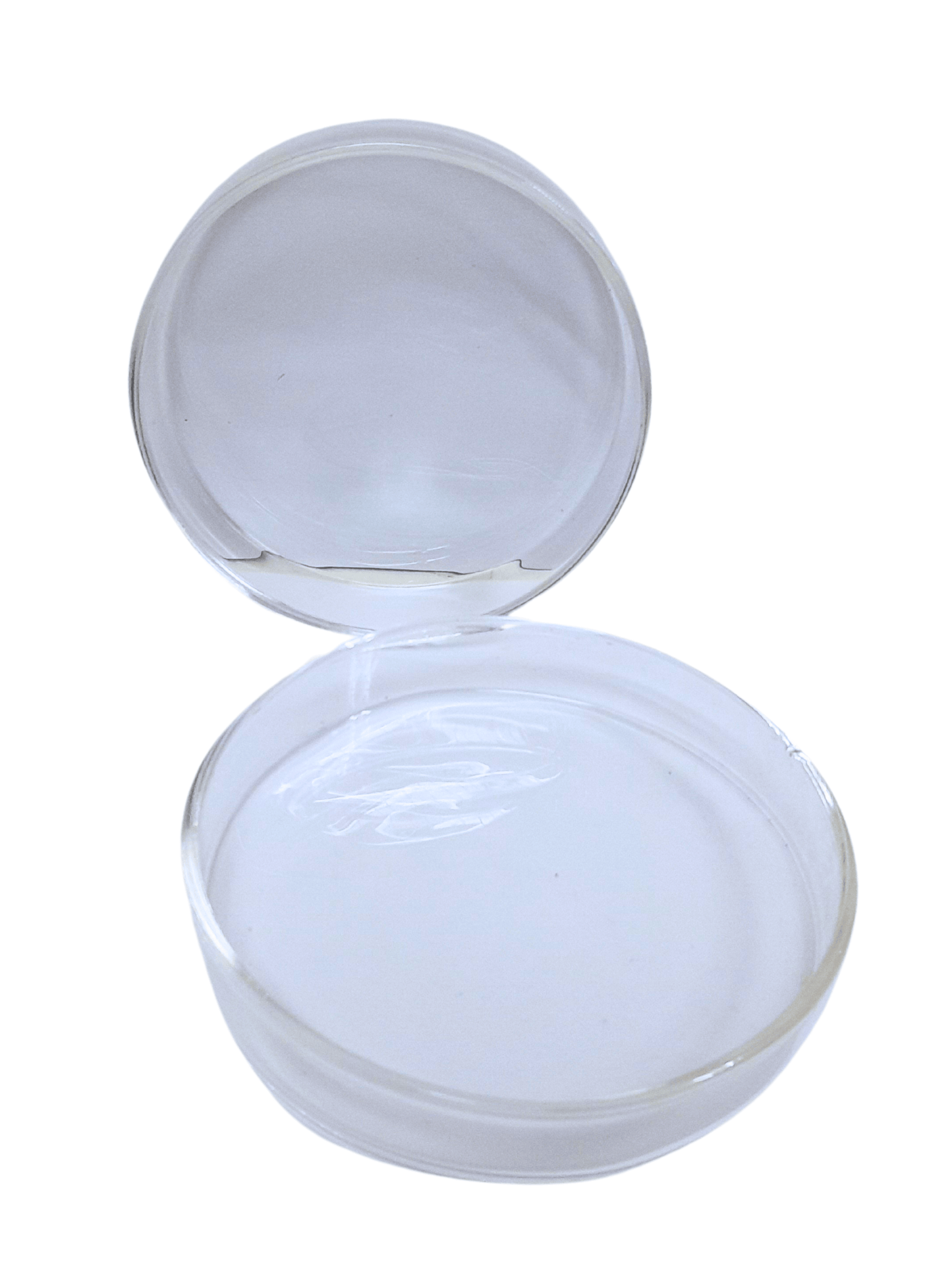 CAPSULA DE PETRI 90MM X 15 MM VIDRIO (PINOCHO)